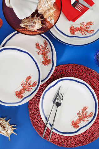 Kütahya Porselen Coastal Living 4 Parça 25 Cm Servis Tabağı 3329 - Kütahya Porselen