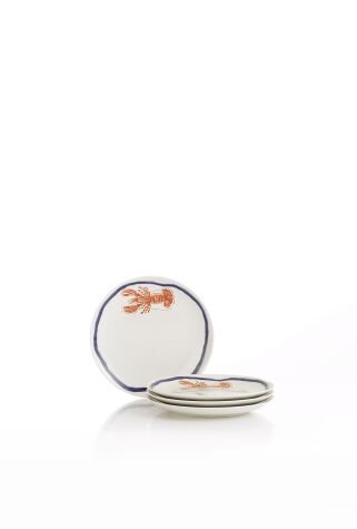 Kütahya Porselen Coastal Living 4 Parça 25 Cm Servis Tabağı 3329 - Kütahya Porselen