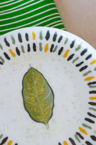 Kütahya Porselen 14 Parça 6 Kişilik Kahvaltı Takımı Cantore - Kütahya Porselen